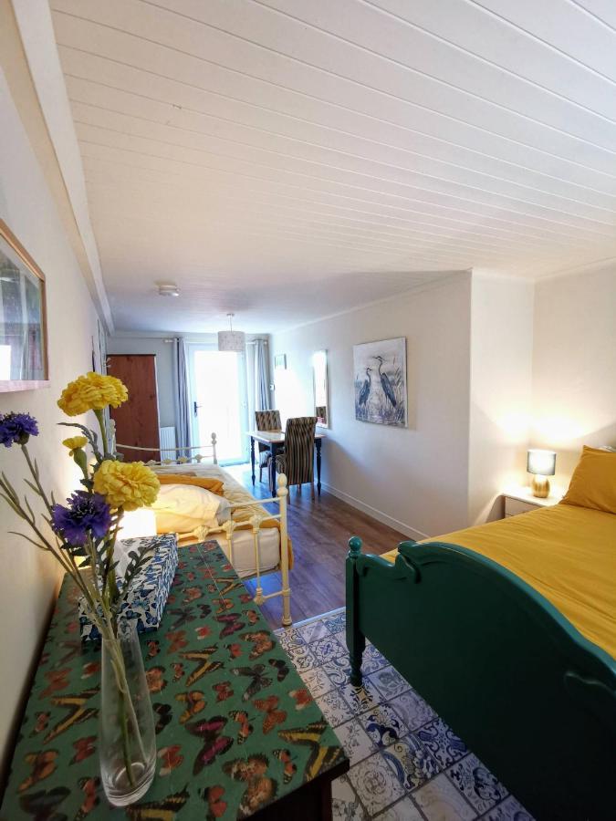 The Nook @ Rowan Tree Cottage Ballymoney Exteriér fotografie